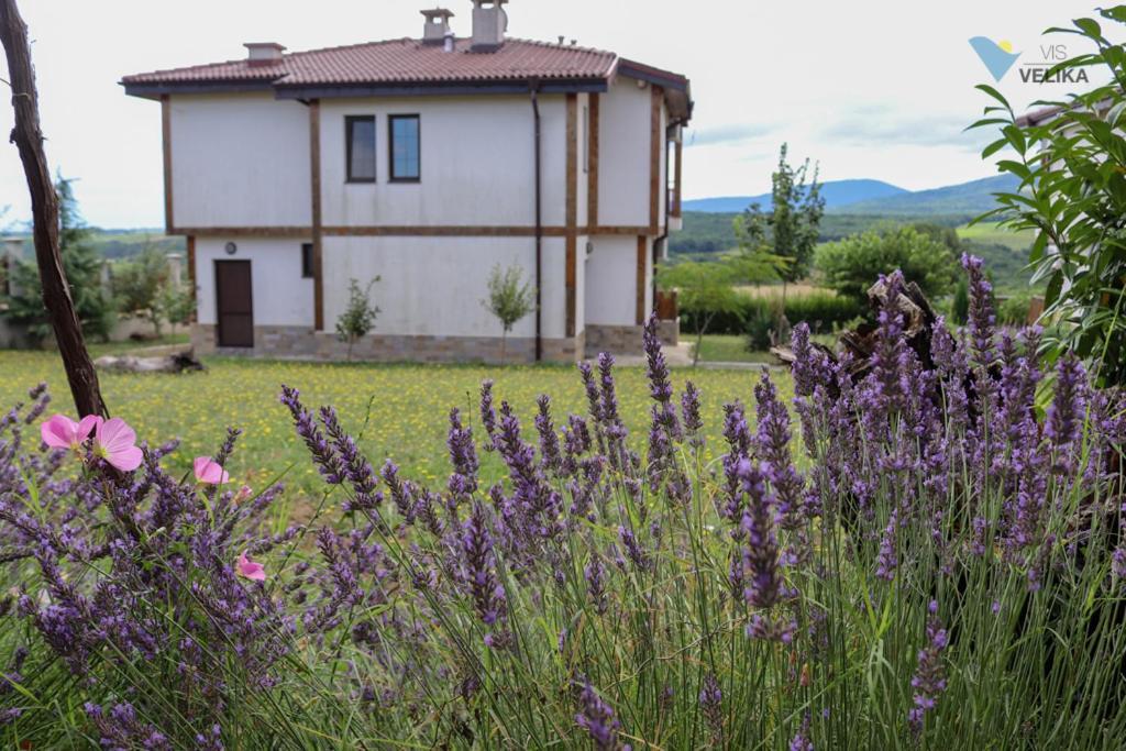 Vis Velika Bed & Breakfast Екстериор снимка